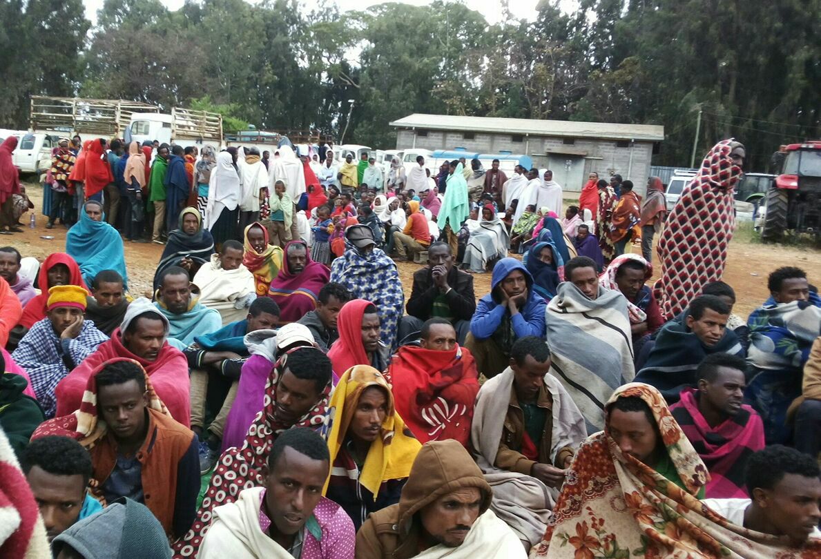 Amhara displaced Association For Human Rights In Ethiopia 